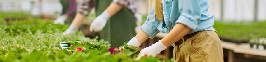 Women with plants